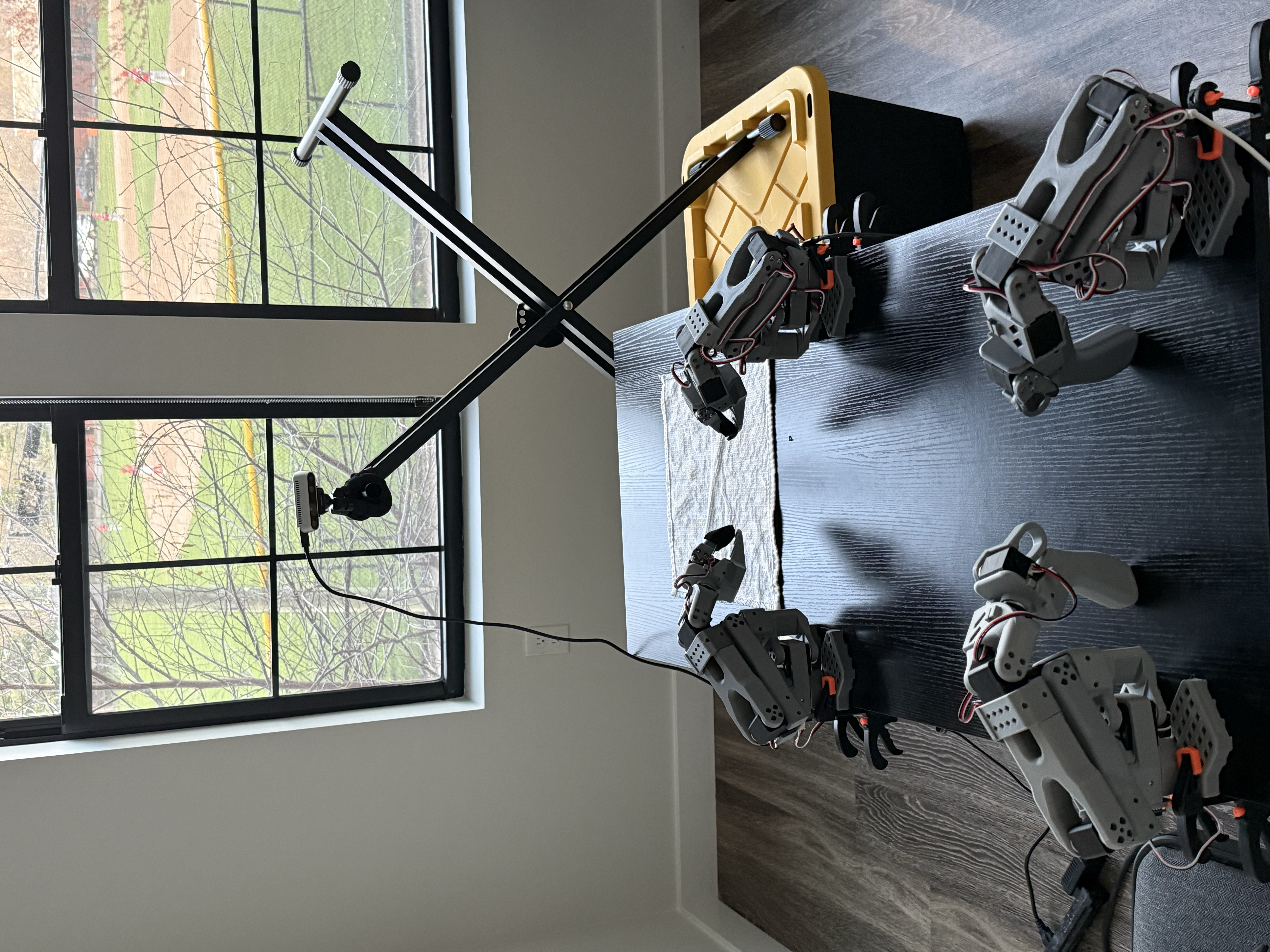 T-Shirt folding procedure steps